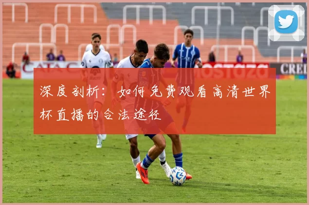深度剖析：如何免费观看高清世界杯直播的合法途径