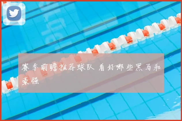 赛季前瞻推荐球队 看好哪些黑马和豪强