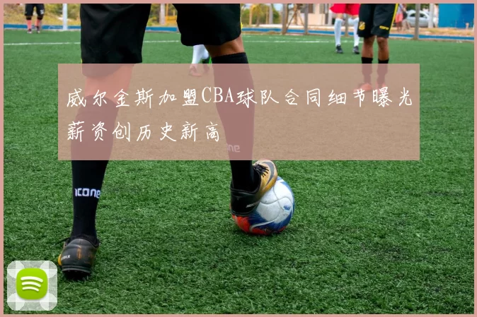威尔金斯加盟CBA球队合同细节曝光薪资创历史新高
