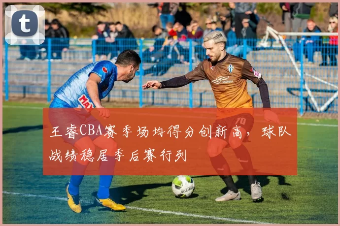 王睿CBA赛季场均得分创新高，球队战绩稳居季后赛行列
