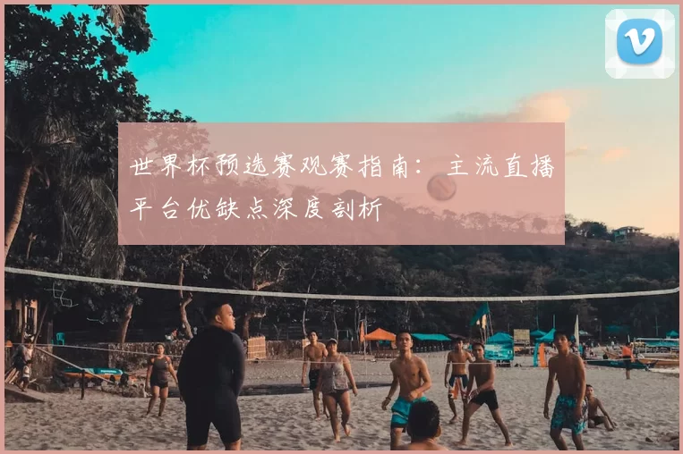 世界杯预选赛观赛指南:主流直播平台优缺点深度剖析